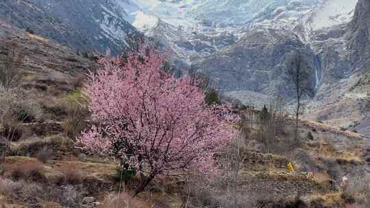 巴基斯坦Hunza Nagar Raka视频素材模板下载