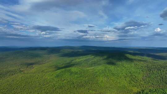 大兴安岭森林绿色山岭自然景观