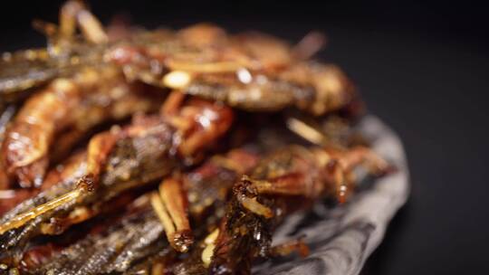 油炸蚂蚱蟋蟀食用昆虫视频素材模板下载