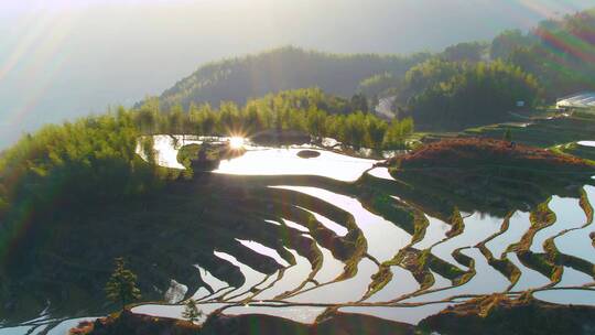 浙江丽水云和梯田日出航拍