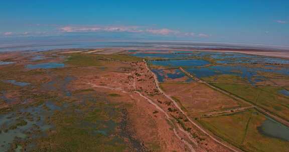 新疆乌伦古湖湿地保护区