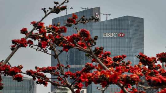 木棉花与汇丰银行大楼景观