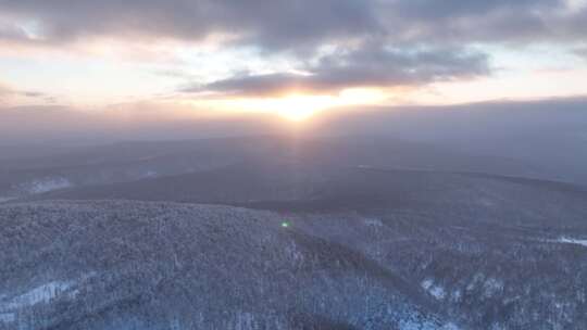 冻雾迷漫的大兴安岭林海雪原暮色