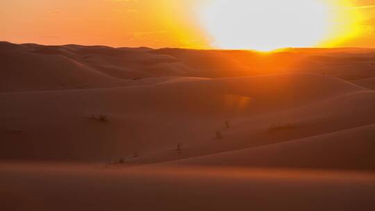 撒哈拉沙漠的夕阳