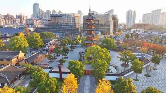 上海秋天 龙华寺秋天 上海地标秋色