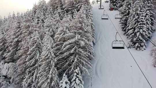 无人驾驶飞机航拍的滑雪缆车在法国阿尔卑斯山高大的白雪覆盖的树木之间经过的圆形视图