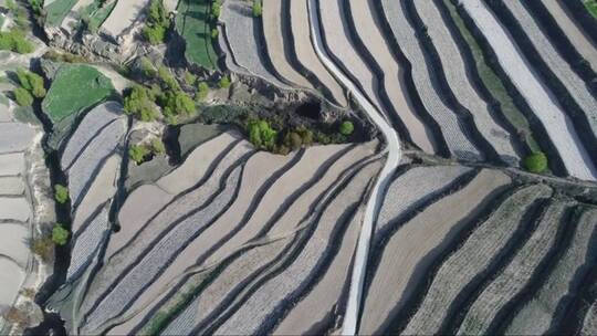 航拍梯田风景 (2)