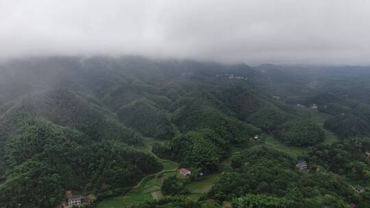 自然风光雨后森林迷雾航拍