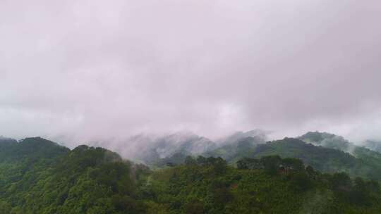 航拍山中云雾雨后云雾雾气