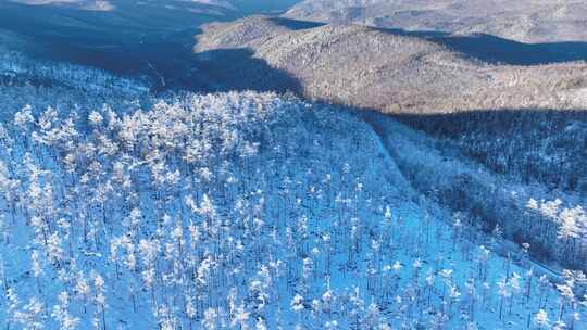 航拍黎明时的大兴安岭林海雪原