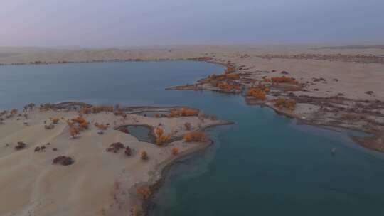 航拍秋天清晨的新疆罗布湖风景视频素材模板下载