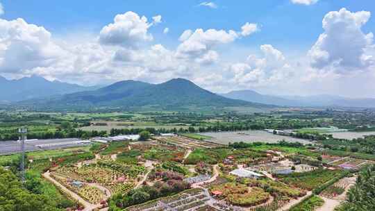 航拍海南乐东县花乡三角梅风景区