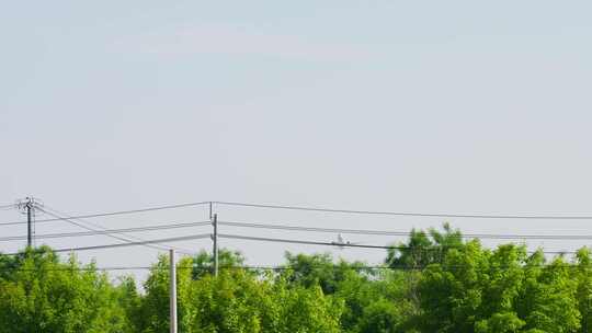 飞机从天空飞过