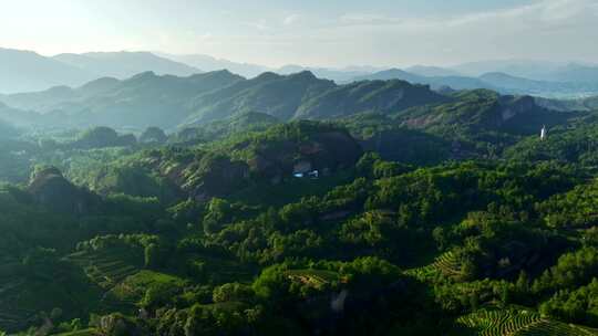 【4K】武夷山茶山茶园云海云雾航拍