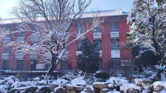 湖南大学冬天雪景