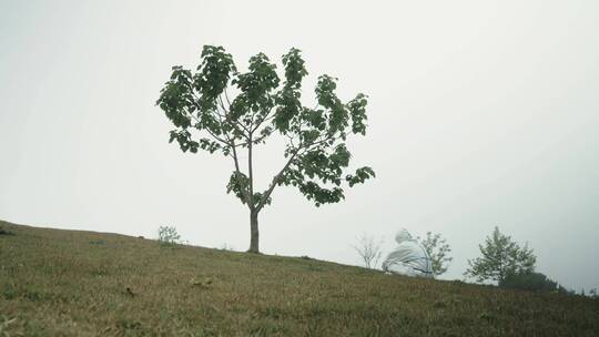 孤独的树和人