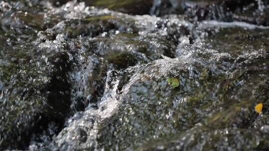 河谷大自然山泉水