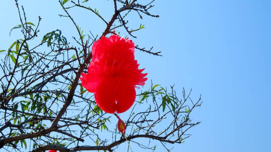 过年春节挂在树上的灯笼张灯结彩视频素材模板下载