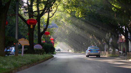 清晨阳光透过树林打在城市道路上