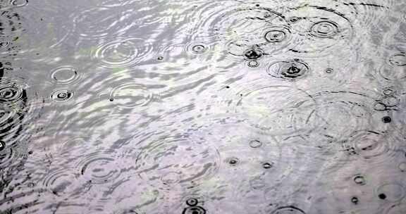 （慢镜）下雨天雨水落在湖面泛起涟漪