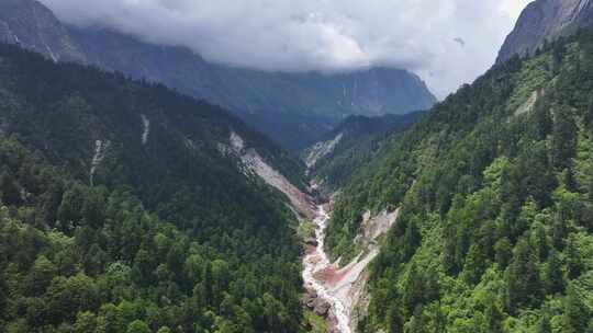 航拍四川甘孜贡嘎山区南门关沟森林河谷风光