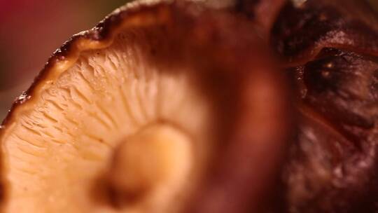 【镜头合集】小花菇干香菇蘑菇