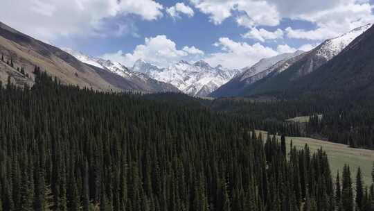 航拍新疆夏塔古道雪山森林草原视频素材模板下载