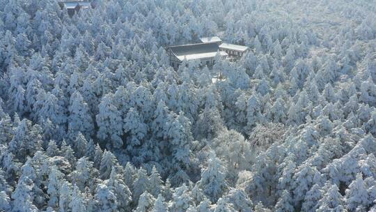 航拍峨眉山顶雪中的森林