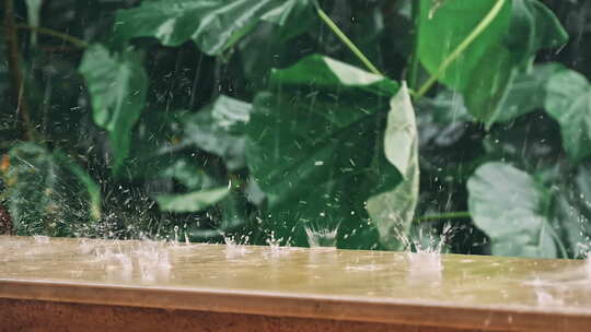 夏天暴雨水打在树叶上下雨水雨滴情绪悲伤