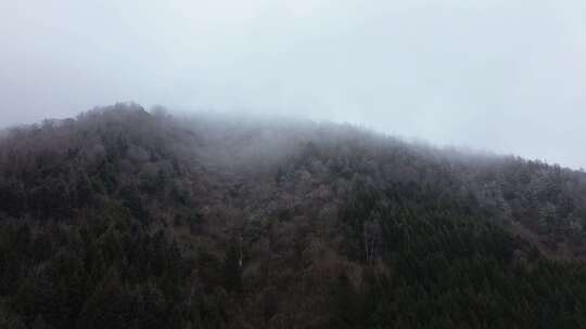 四川阿坝九寨沟县黄土梁隧道杜鹃山冬日