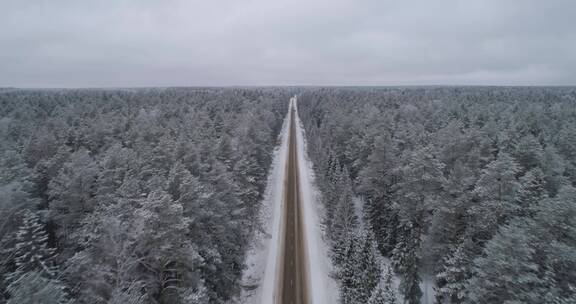 森林中的冬季之路