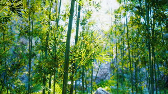 一幅森林中的竹林画