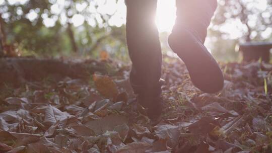 在满是落叶的树林里行走的脚步4k视频素材