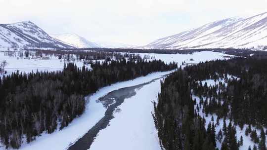 航拍新疆冬季喀纳斯湖雪景雪山森林冰河晨雾