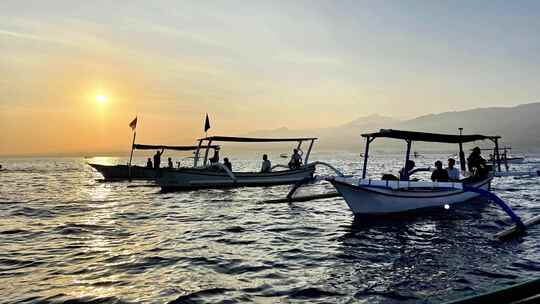 快艇追逐海豚 海豚跃出海面