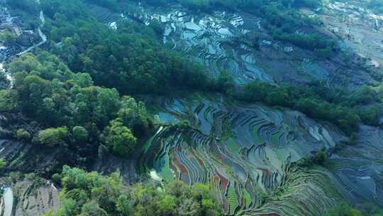 云南元阳梯田