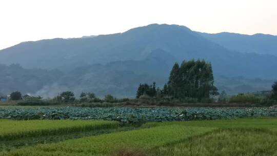 美丽乡村建设