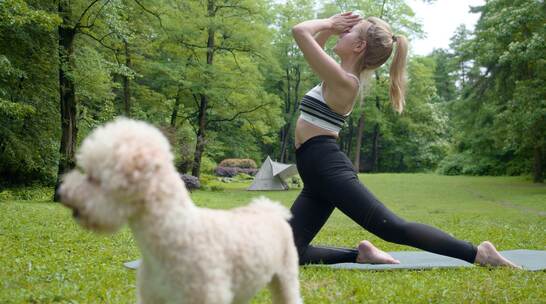 公园女孩草地上瑜伽锻炼身体