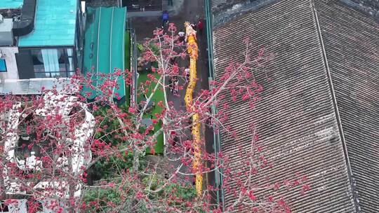 珠海南屏北山舞龙舞狮游行航拍合集