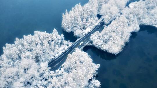 杭州西湖杨公堤雪景