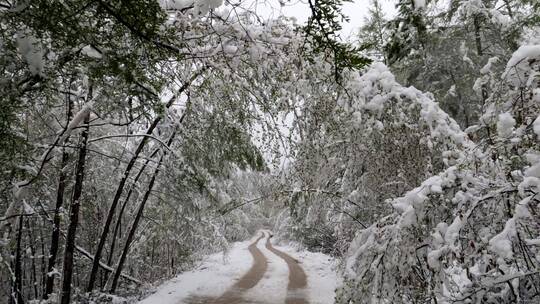 大兴安岭森林公路雪凇春雪景观