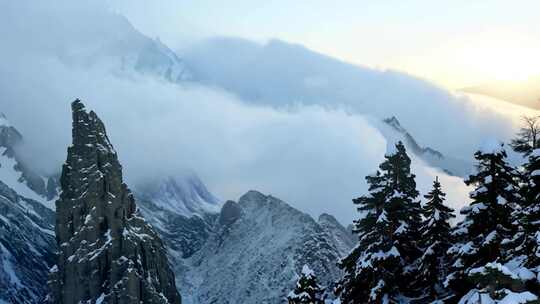 被雪覆盖的高山和树木的冬日景象