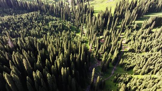 山林间的航拍全景