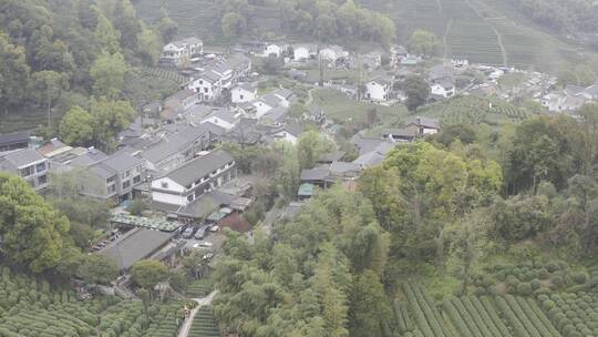 杭州西湖梅家坞茶园茶山