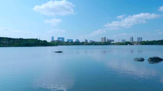 广州海珠湖公湖泊树林与城市高楼建筑景观