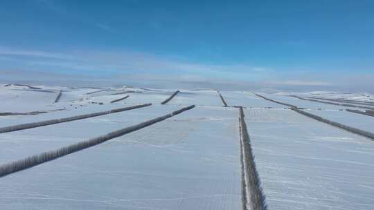 白雪覆盖的农田