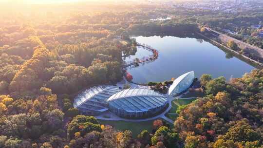 南京秋天 前湖公园 秋天 植物博物馆