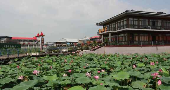 生态湿地长荡湖水街典雅船餐厅建筑风光