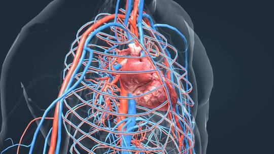 医学科技人体器官心脏智慧医疗动画
