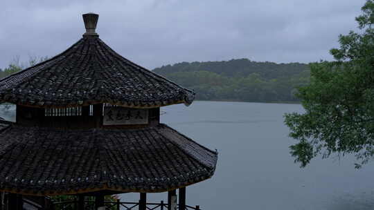 下雨天的杭州西湖茅家埠黛色参天